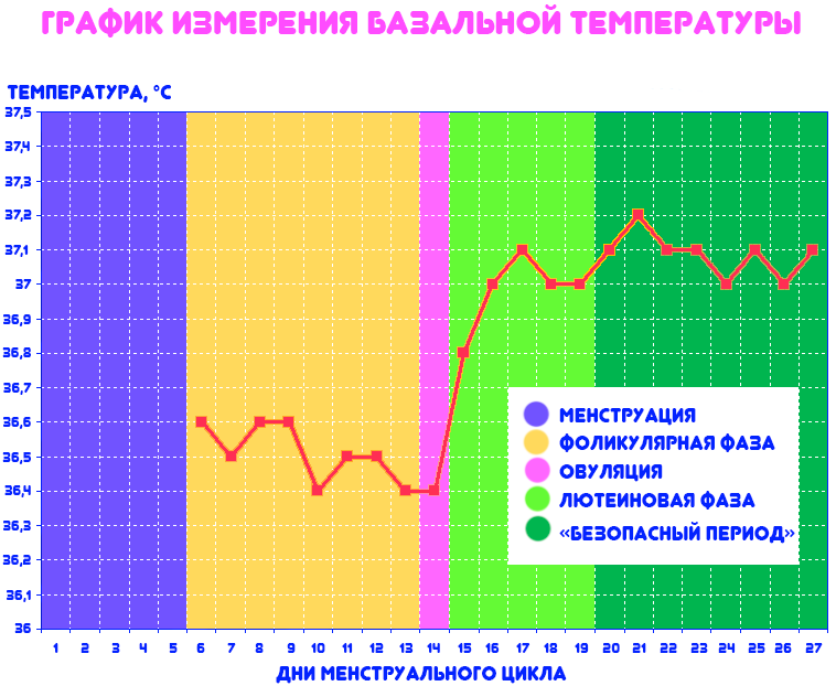 Базальная температура, как правильно измерить